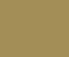 Зеленая охра #9F8F55